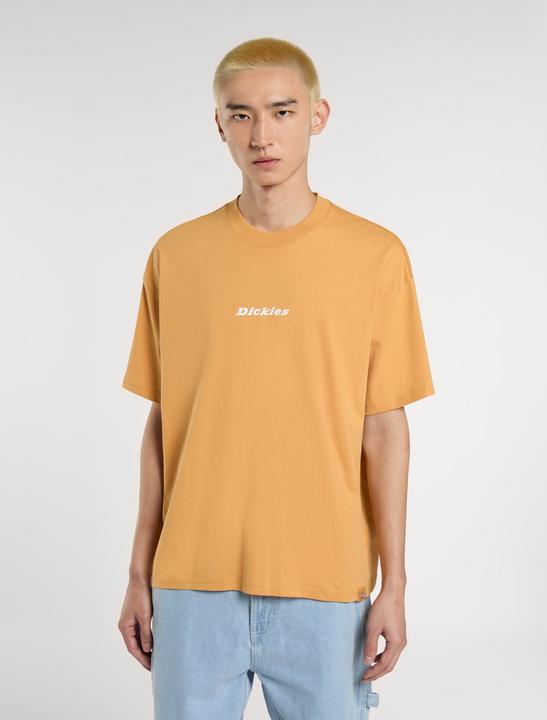 Image du produit Dickies Enterprise Tee Ss Oak Buff (L)