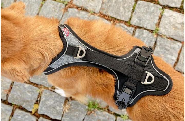 Actual product image Curli Harness Magnetic Belka Comfort (M, Dog, General)