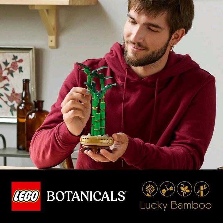Productafbeelding LEGO Glücks-Bambus (10344, LEGO Icons)