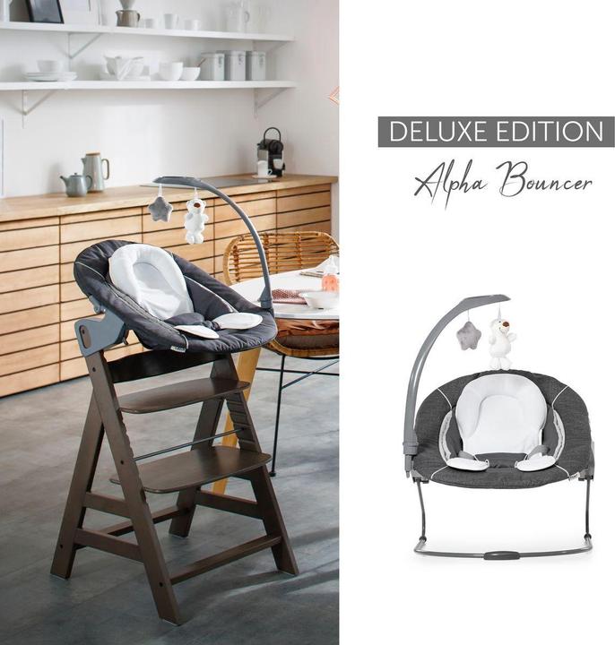 Immagine prodotto Hauck Set di mosse Alpha (Seggiolone)