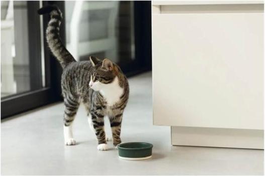Actual product image Designed by Lotte Joa (0.21 l)