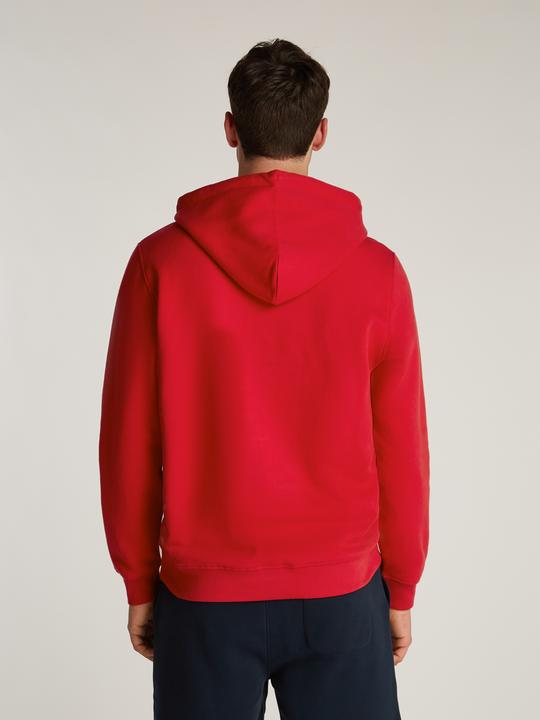 Produktbild Tommy Jeans Tjm Reg Linear Logo Hoodie Ext (L)