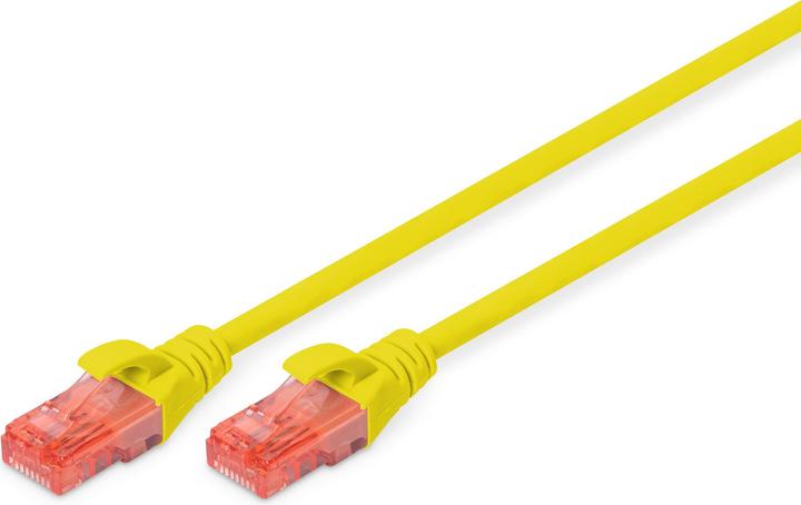 Actual product image Digitus Network cable (U/UTP, CAT6, 0.50 m)