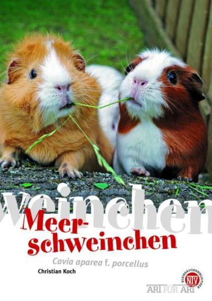 Actual product image Meerschweinchen (German, Christian Koch)
