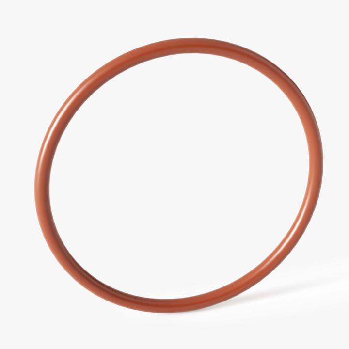 Produktbild SunSun Originalersatzteile - O-Ring-1 High Performance Teichklärer CUV-111