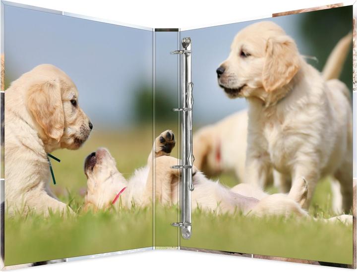 Produktbild HERMA Ringbuch A4 Motiv (A4, 35 mm, 1 Stück)