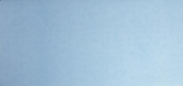 Actual product image Exacompta BEEBLUE - Desk pad (40 x 80 cm)