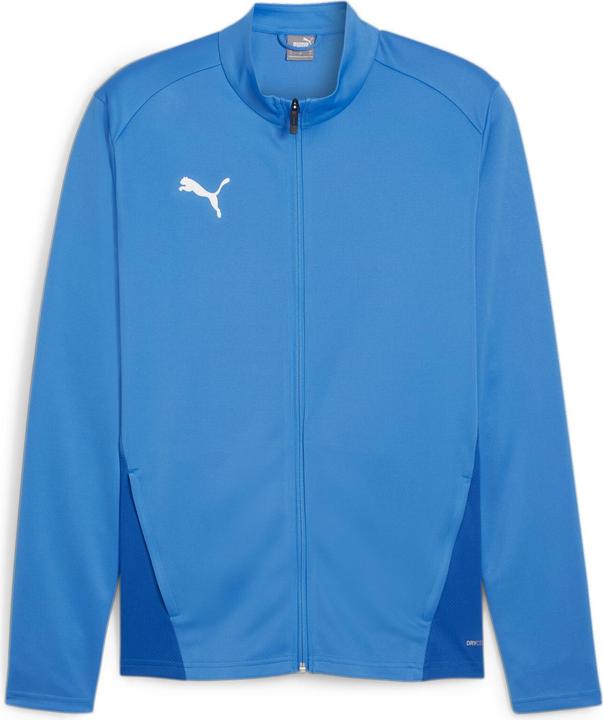 Puma teamGOAL Training Jacket