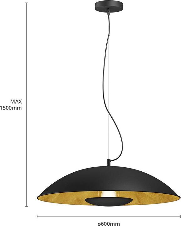 Image du produit Lindby Emilienne Lampe à suspendre Black/Gold (E27)