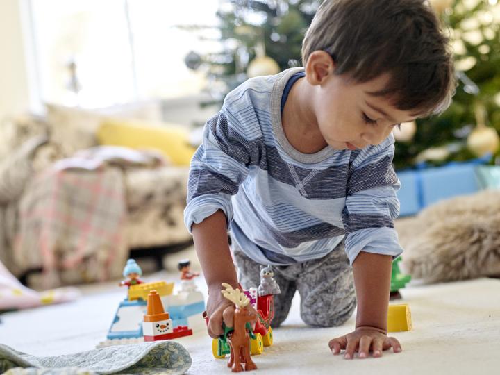 Image du produit LEGO Plaisirs d'hiver avec le Père Noël (10837)