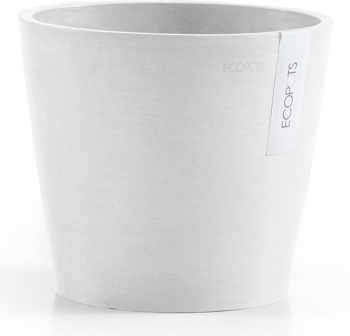 Actual product image Ecopots Amsterdam (20 cm)