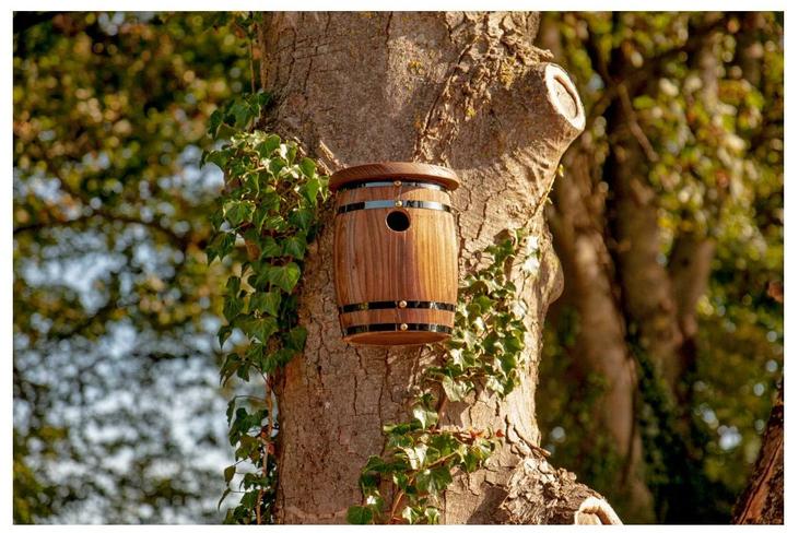 Produktbild Wildlife World Fass Vogelnest, Tierart: Vogel, Produkttyp: Vogelhaus