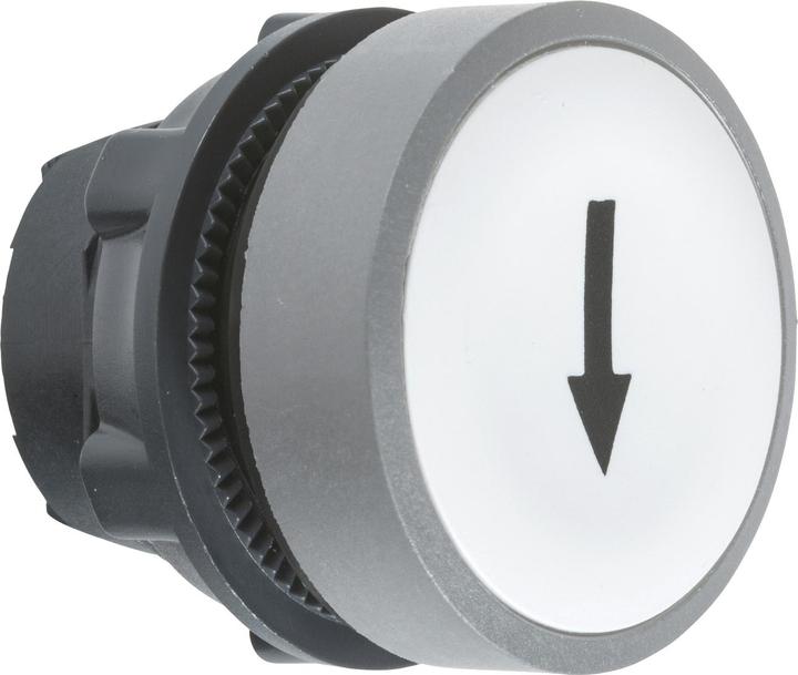 Actual product image Schneider Electric Push-button, front, inscription arrow ZB5AA334C0