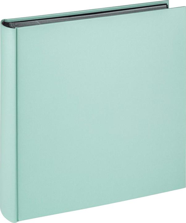 Mintfarbe