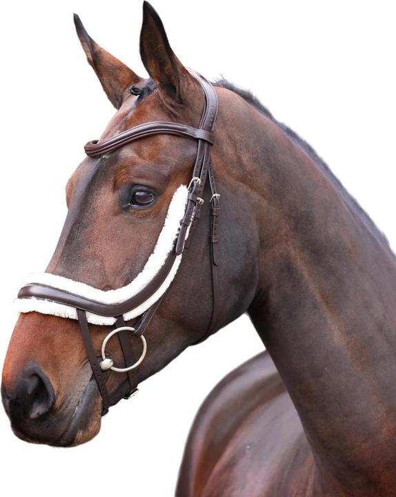 Immagine prodotto Velociti Rapida, foderato in pile e in pelle, è un archetto da naso curvo per cavalli.