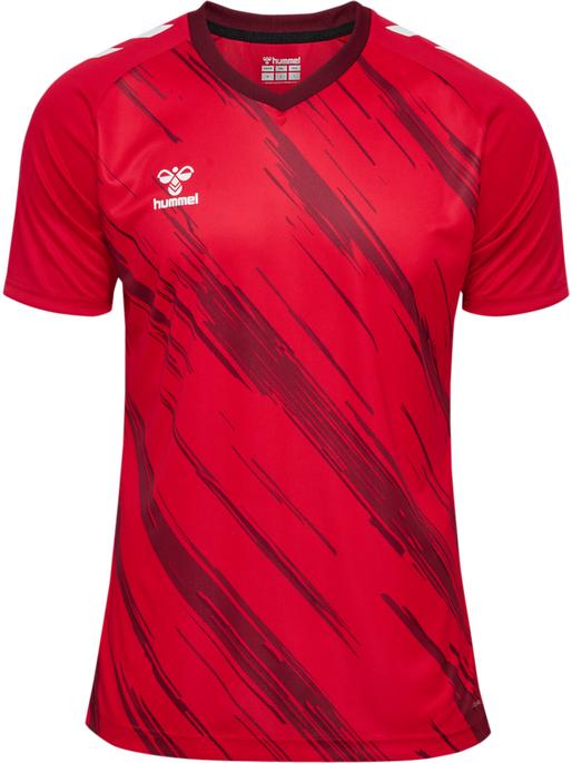 Actual product image hummel hmlMATCH TRIUMPH JERSEY S/S (M)
