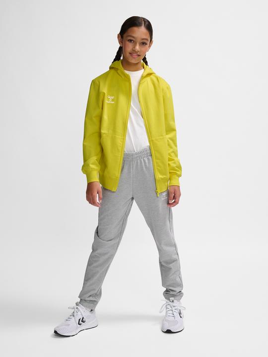 Actual product image hummel Hmlgo 2.0 Zip Hoodie Kids (116)