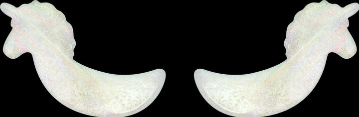 Actual product image essence Queen of... Magic (Patches, Day + Night)