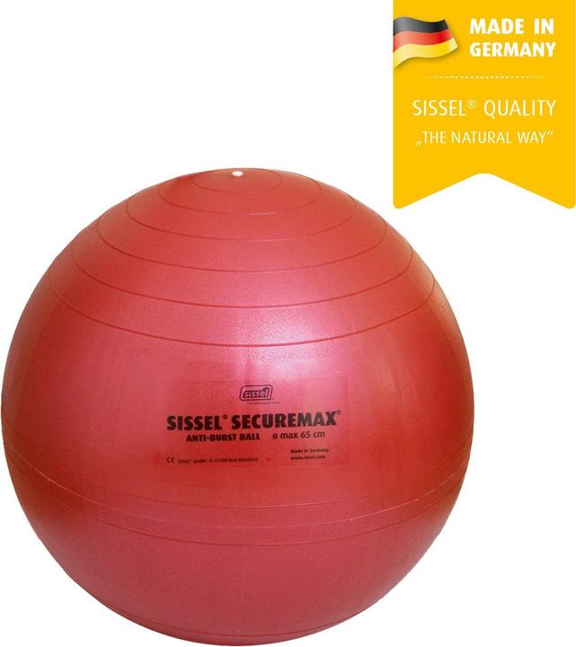 Produktbild Sissel Securemax (55 cm)