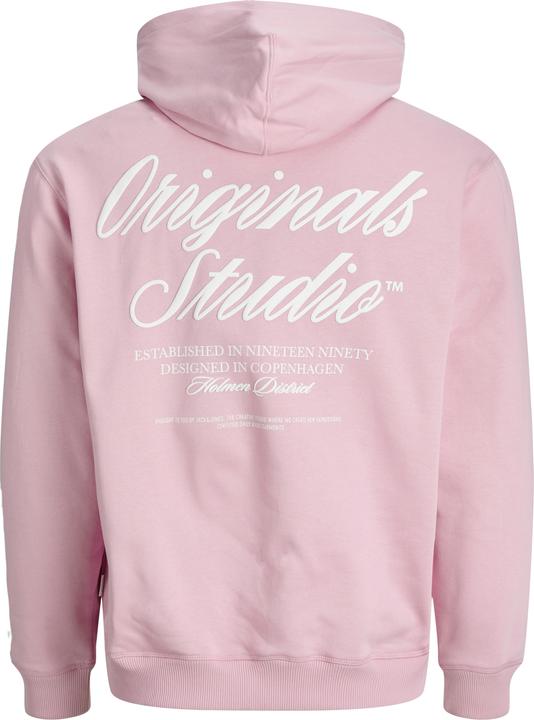 Actual product image Jack & Jones Kapuzenpullover Kapuzenpullover (XS)