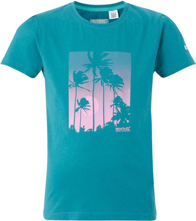 Regatta Bosley VIII TShirt (158)