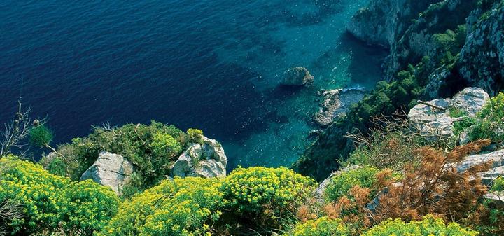 Immagine prodotto Acqua Di Parma Bergamotto di Calabria (Eau de toilette, 150 ml)