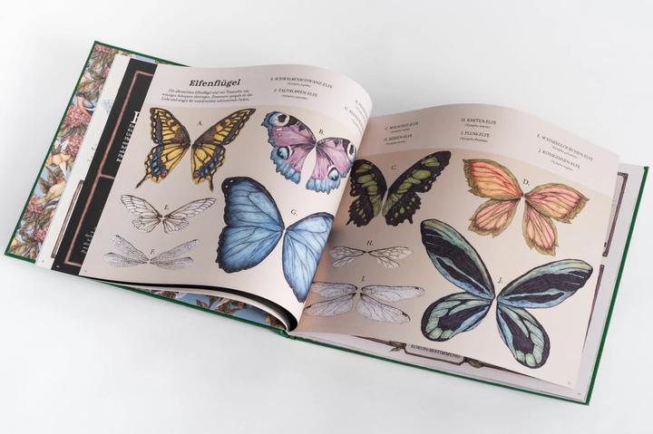 Actual product image Das grosse Handbuch der Elfen (German, Emily Hawkins, Jessica Roux, 2020)