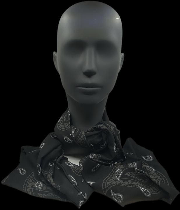 Image du produit Industyle Design Foulard / écharpe au motif paisley glaronnais, noir