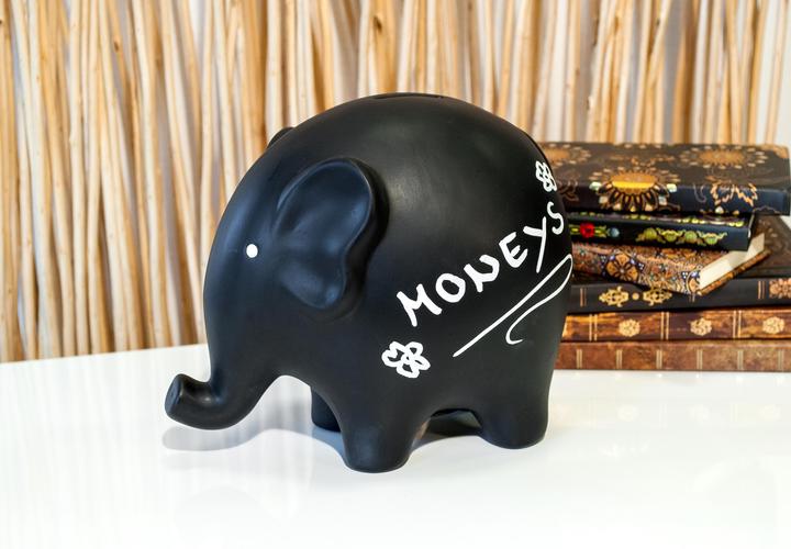 Produktbild Pajoma Elefant