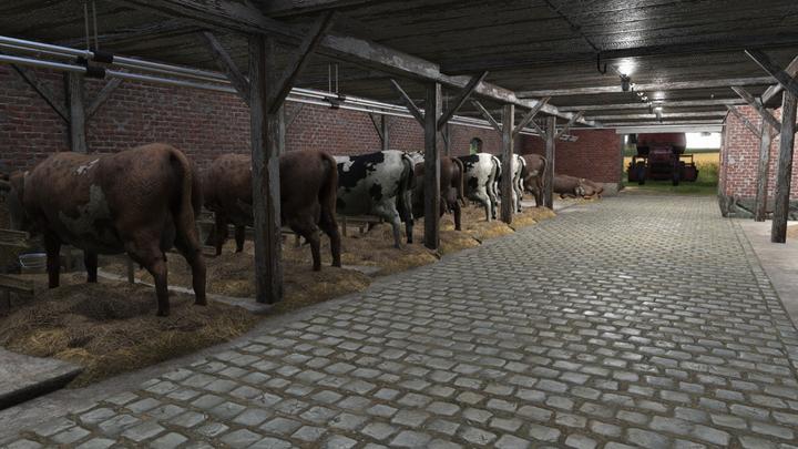 Actual product image Bigben Farmer's Dynasty (Xbox One X, Xbox Series X, Multilingual)