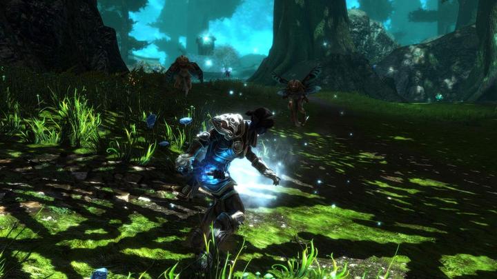 Image du produit THQ Kingdoms of Amalur - Reckoning Edition définitive (PS4, IT, FR)
