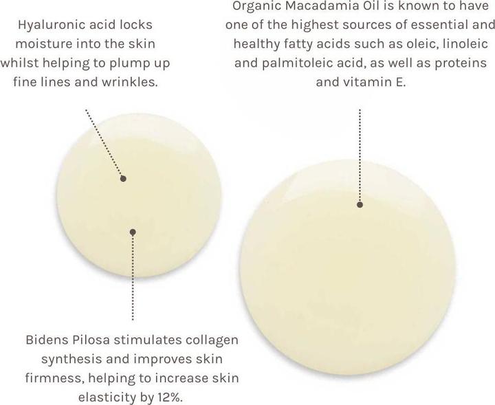 Immagine prodotto Evolve Organic Beauty Idratante Olio Corpo Rinnovatore Senza Tempo 100 ml (Olio corpo, 100 ml)