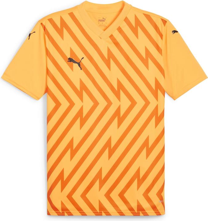 Puma teamGLORY Jersey