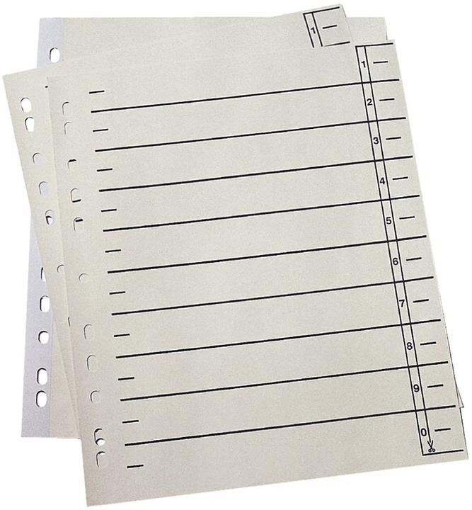 Actual product image Neutral Dividers