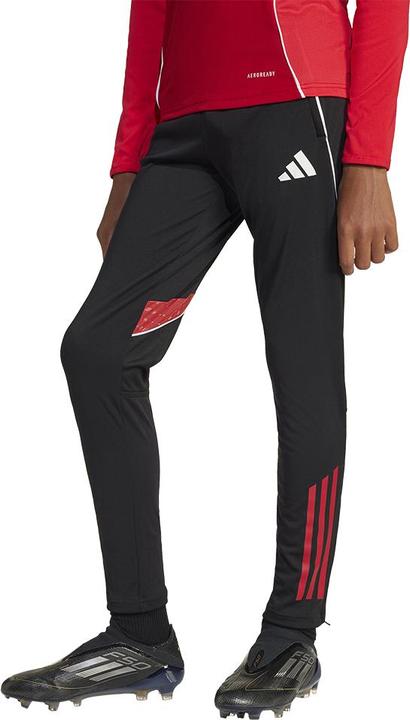 Actual product image adidas TIRO25C TR PNTY (152)