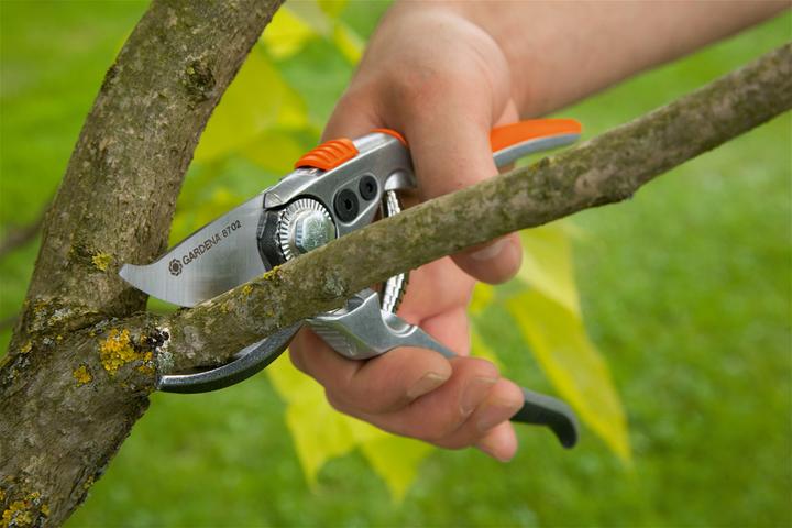 Immagine prodotto Gardena Premium BP50