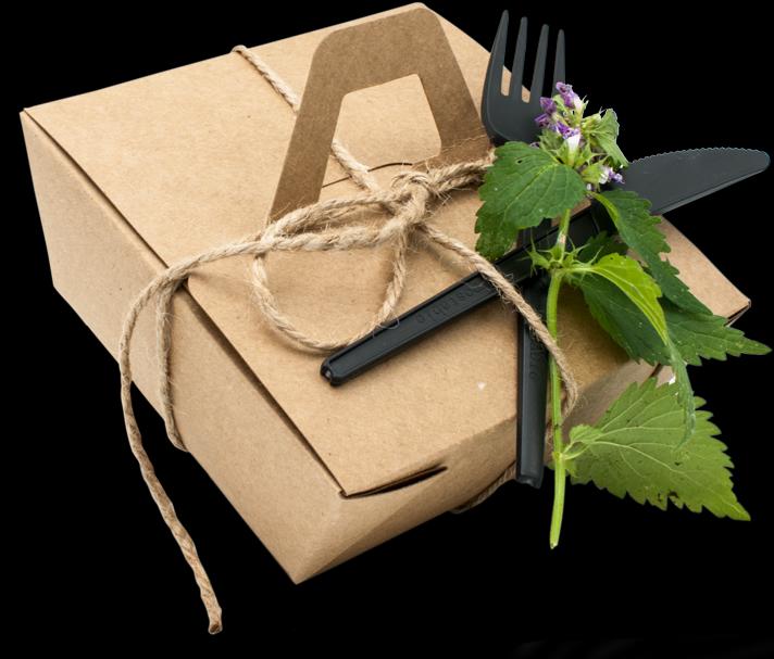 Produktbild Handelgrün Take Away Box (50 x)