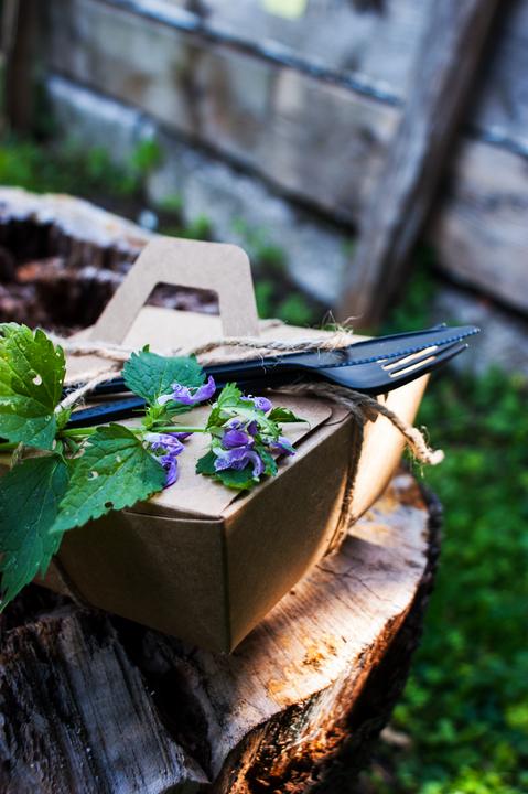 Produktbild Handelgrün Take Away Box (50 x)