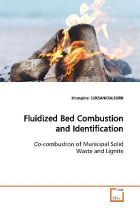 Produktbild Fluidized Bed Combustion and Identification (Kriengkrai Suksankraisorn, 2009)