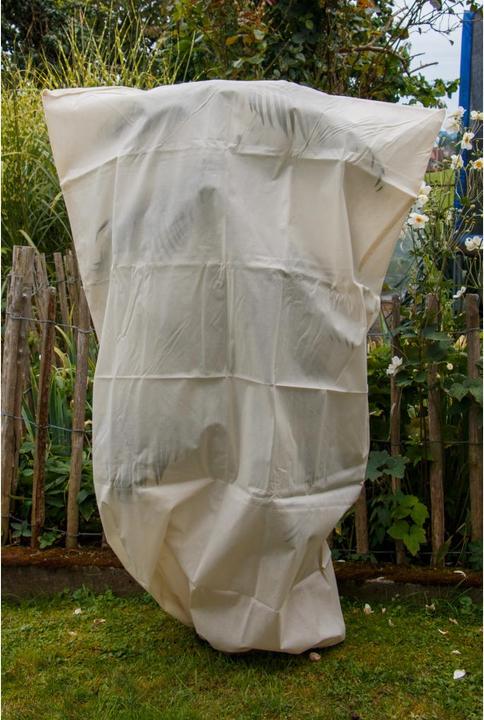 Produktbild Colibri Winter Hood XL