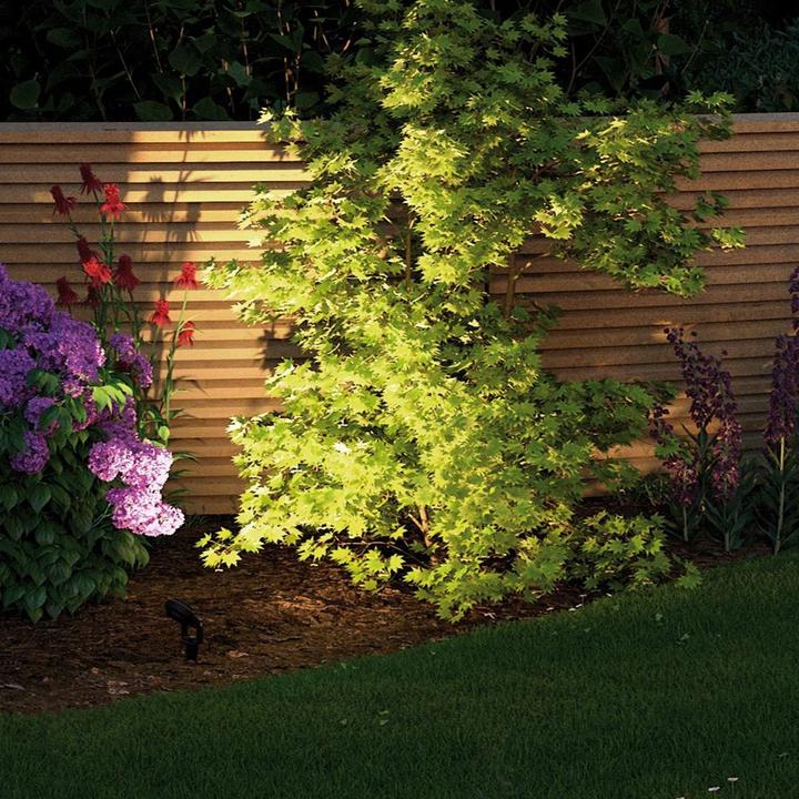 Produktbild Paulmann Outdoor Plug & Shine Sting Starterset (520 lm, IP67)