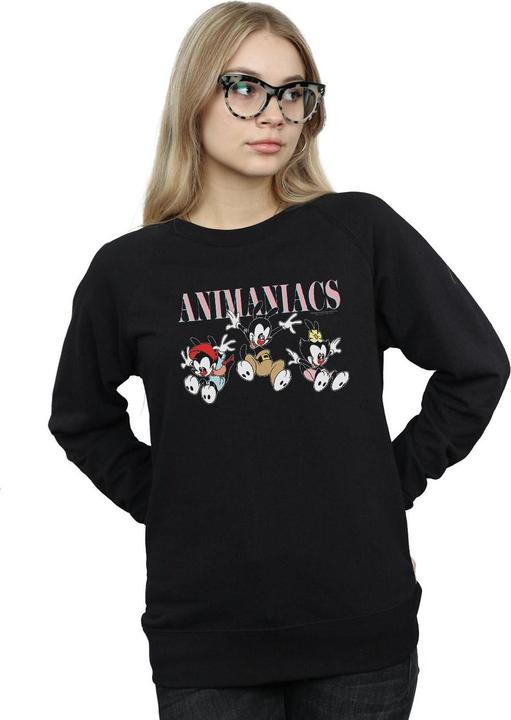 Actual product image Universal Textiles Womens/Ladies Group Jump Sweatshirt (XXL)