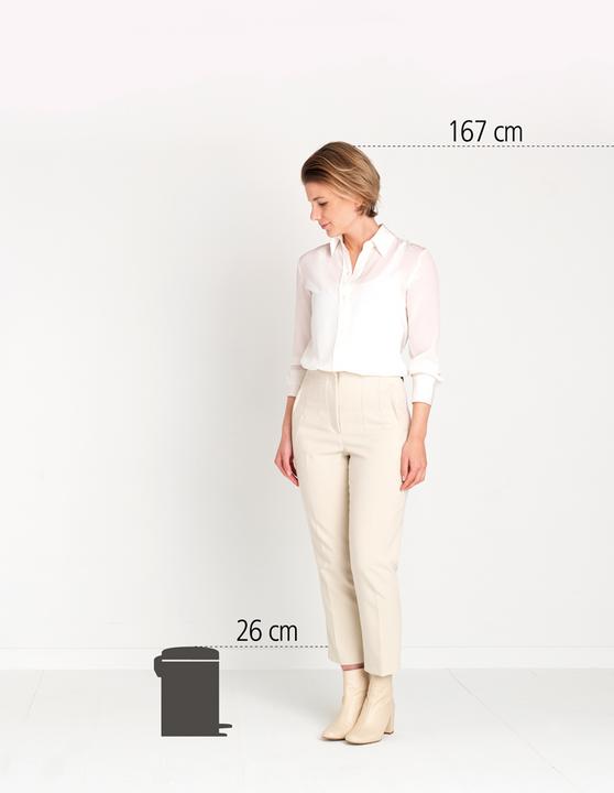 Image du produit Brabantia Poubelle à pédale NewIcon 3 litres (3 l)