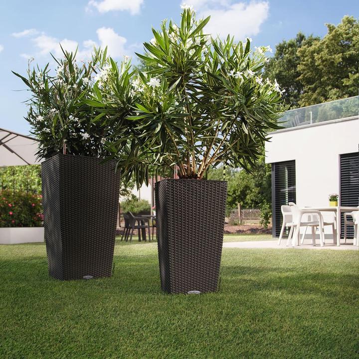 Actual product image Lechuza Cubico Cottage (29.50 cm)