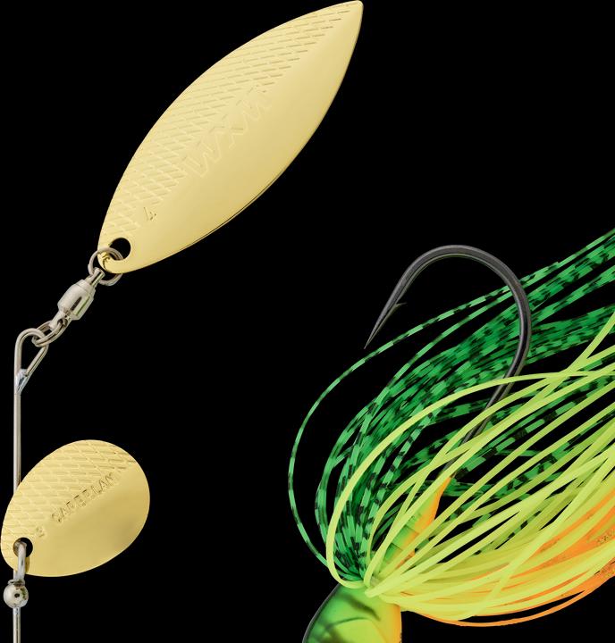Image du produit Caperlan Spino (11.50 cm)