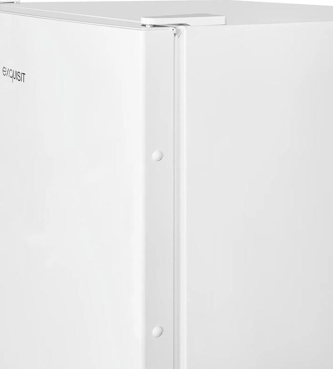 Actual product image Exquisit GS231-NF-H-040D (Stand-alone, 161 l)
