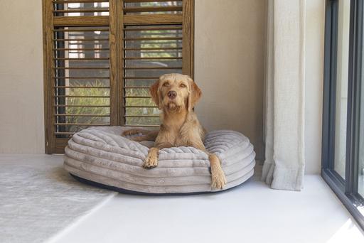Actual product image Designed by Lotte Reza reclining cushion (Dog)