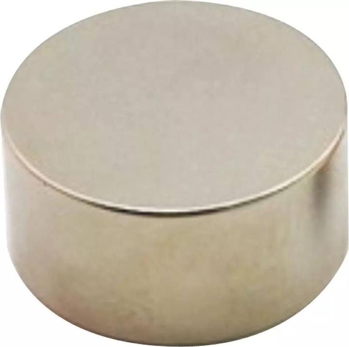 Actual product image House of Magnets Magnet (6 x)
