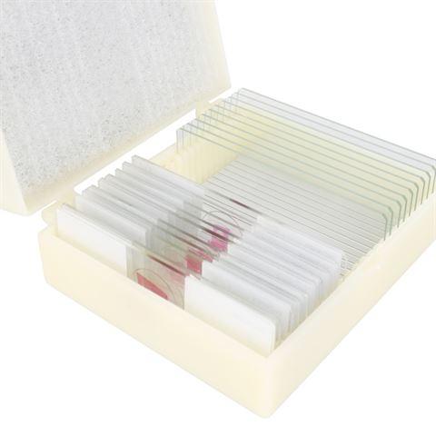 Produktbild Konus Preparate Set Human Body (25 Stk.)