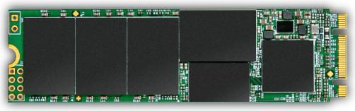 Actual product image Transcend Internal M.2 SATA SSD 2280 832S (1000 GB, M.2 2280)